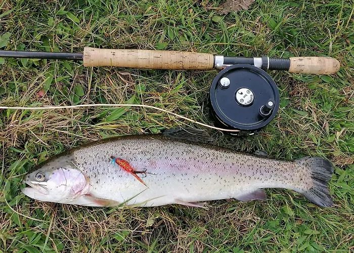 מלון דירות For Rent Andersen Invest Skjern